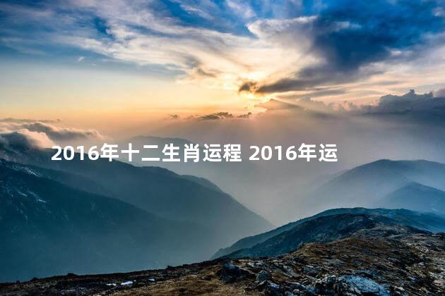 2016年十二生肖运程 2016年运势最好的属相